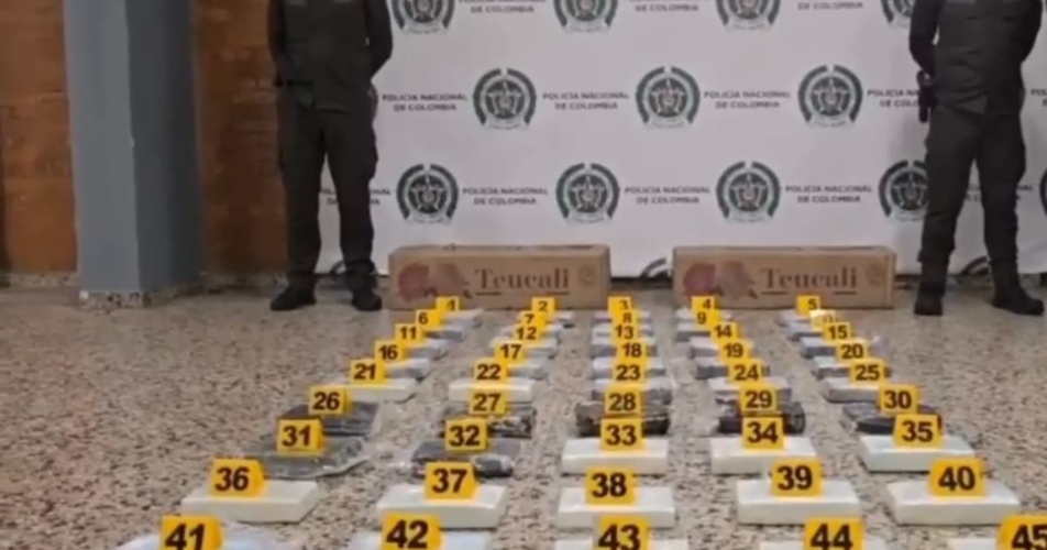 incautaron-50-kilos-de-clorhidrato-de-cocaina-en-aeropuerto-el-dorado-de-bogota