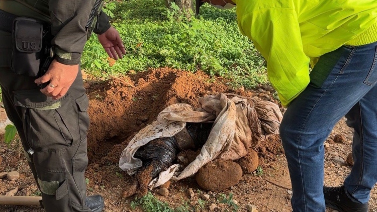 negligencia permite el trágico final de la perrita _Kira_ en el barrio Betania