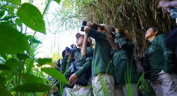 Colombia-El-Pais-de-la-Belleza-y-de-las-aves-se-prepara-para-el-Global-Big-Day-2026