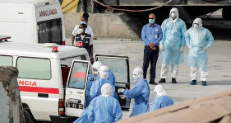 El virus Andes y su peligrosa capacidad de transmisión entre humanos