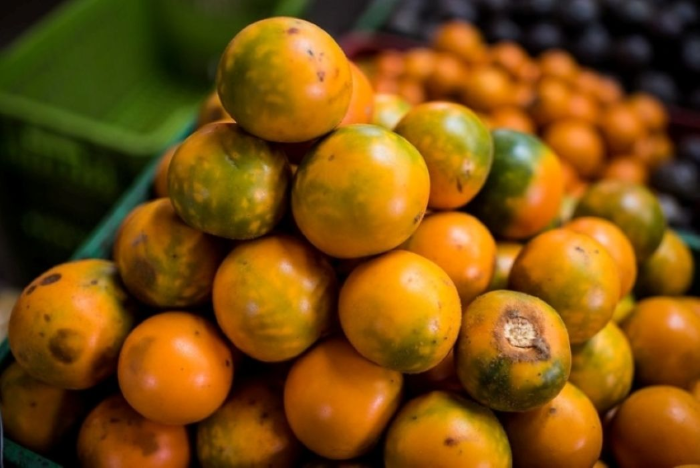 Lulo_frutas de Colombia_