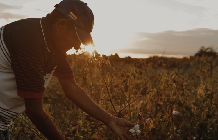 VEJA presenta “Fuera de los reflectores”, un documental que revela las historias detrás de sus tenis