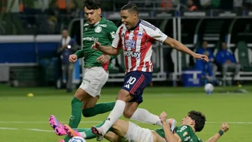 muriel-palmeiras