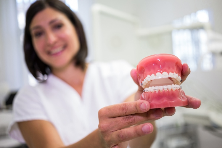 Portrait of female dentist holding a set of dentures in the clinic