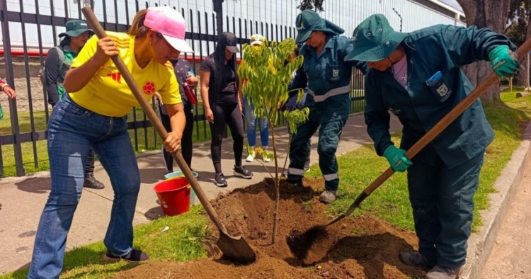 El Jardín Botánico de Bogotá reverdece los andenes del Complejo