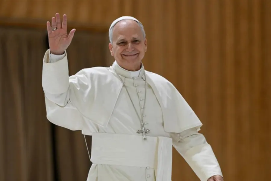 El-Papa-Leon-XIV-en-la-audiencia-del-4-de-febrero-de-2024-2