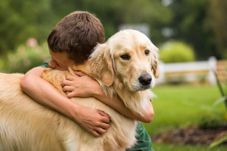 (IDPYBA) emite pautas de medicina preventiva para proteger a las mascotas ante las altas temperatura
