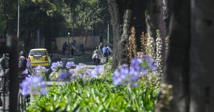 La Secretaría Distrital de Movilidad habilita la plataforma Mi Movilidad a un Clic