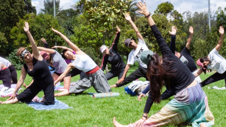 La Secretaría de Cultura de Bogotá lanza la cuarta edición del Festival Calma
