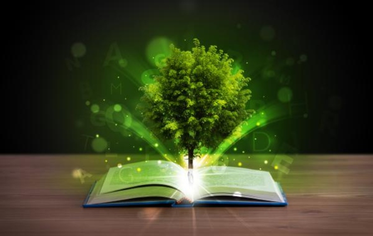 Los Procesos Comunitarios de Educación Ambiental