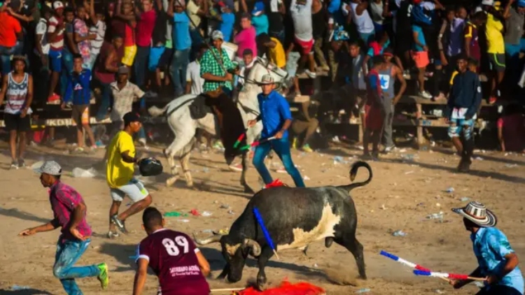 Un hombre perdió la vida tras el ataque de un toro