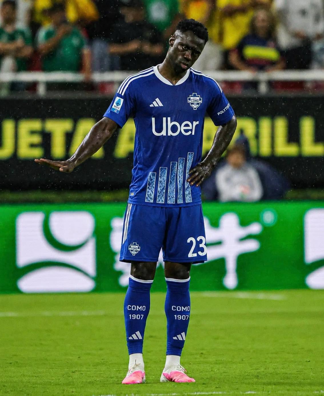 davinson COMO