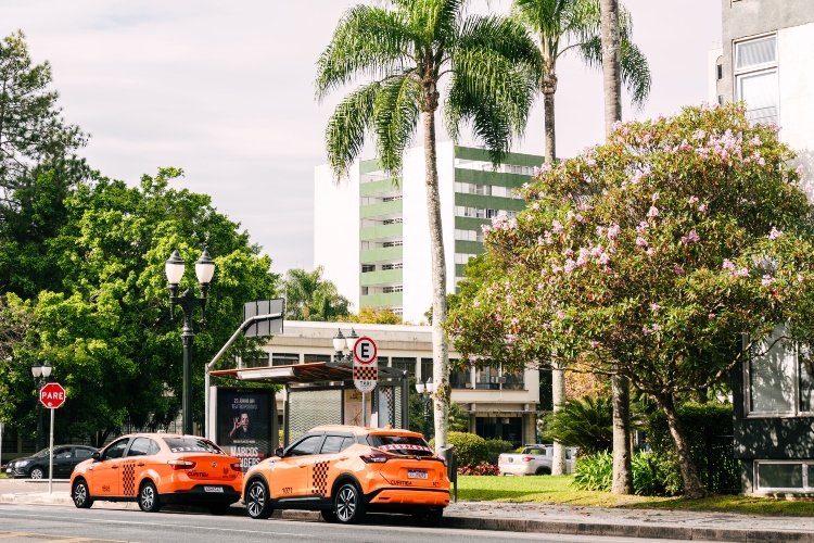 pexels-eliezer-fernandes-515183518-36166340 (1)