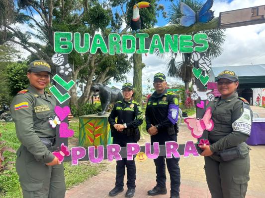 purpura