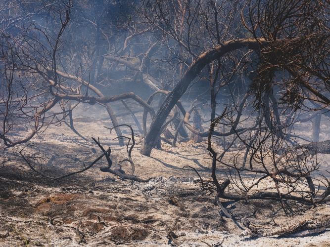 Crisis climática y petróleo