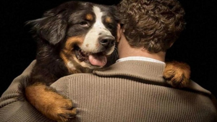 El Consejo Local de Protección Animal articula acciones para fortalecer el bienestar animal