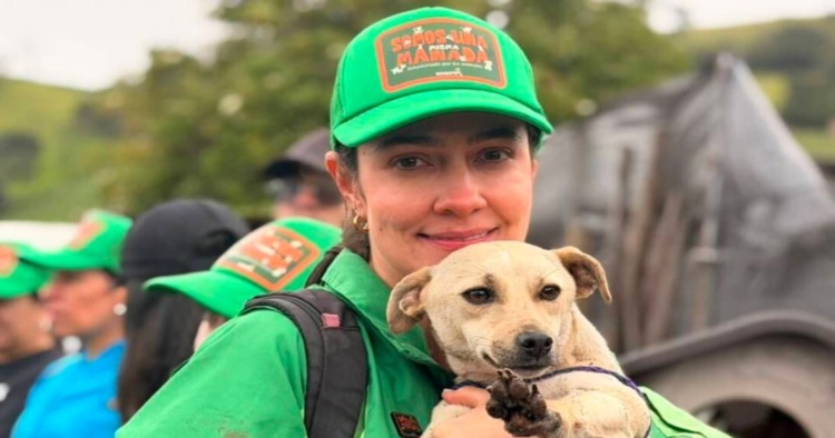El Instituto de Protección Animal y brigadas de voluntarios_ IDPYBA