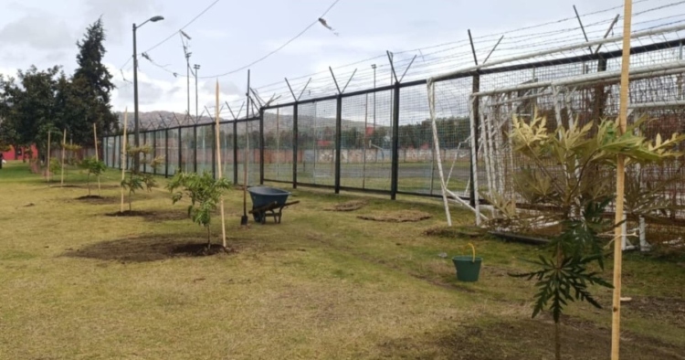 El Jardín Botánico de Bogotá renaturaliza los alrededores del Templete