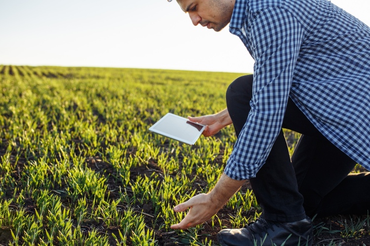 El suelo en Colombia base de la productividad agrícola y eje de la sostenibilidad del campo