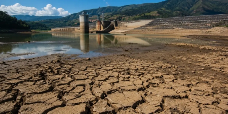 Enel Colombia promueve pautas de consumo responsable