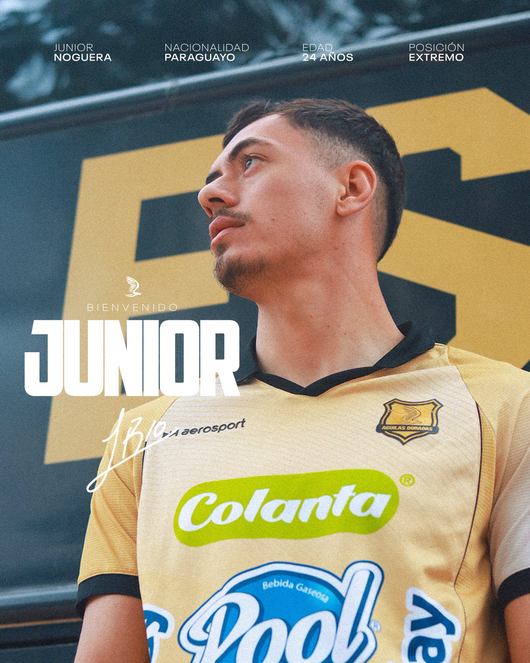 JUNIOR NOGUERA