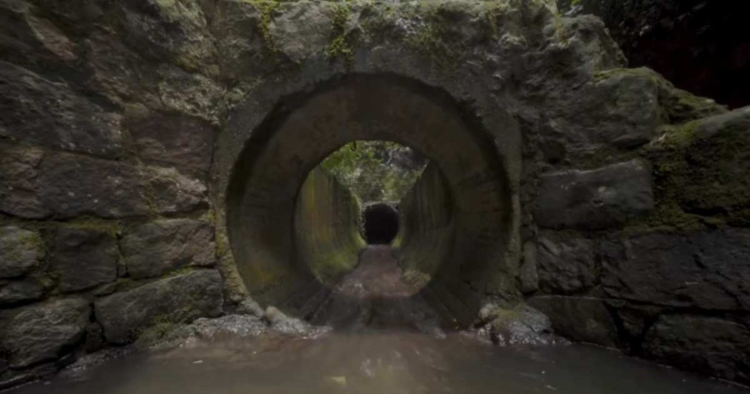 La Galería Santa Fe abre sus puertas al taller artístico 'Mapas de agua _ Foto_ BibloRed