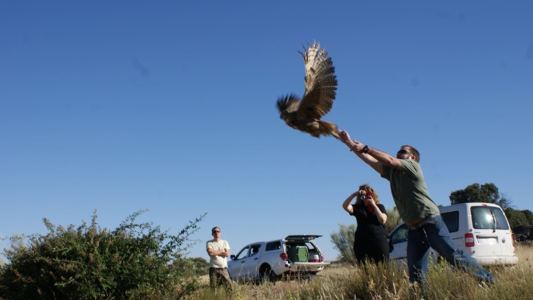 La Secretaría Distrital de Ambiente libera a 62 animales silvestres rehabilitados