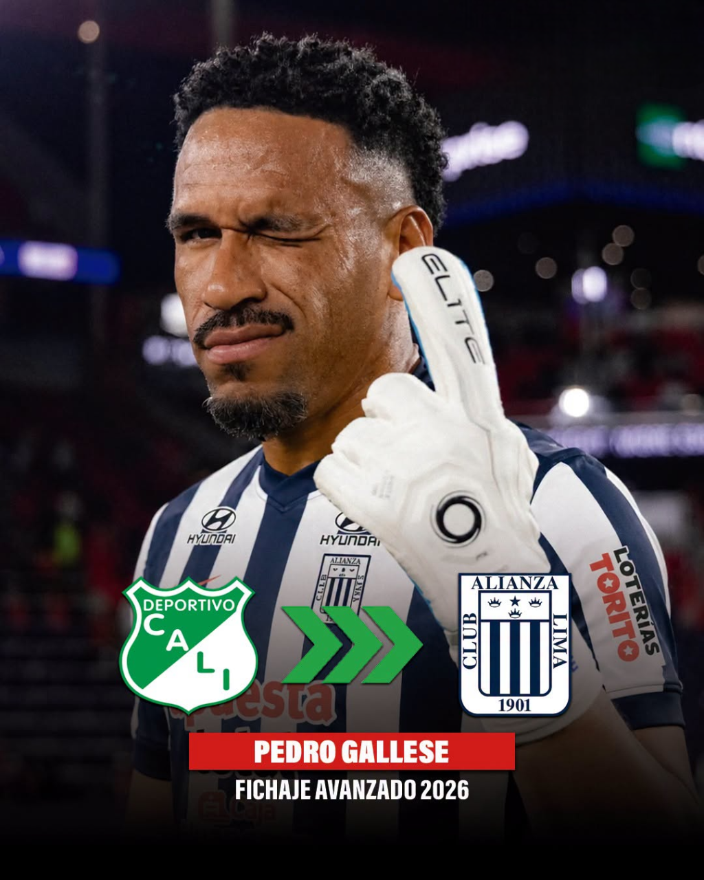 PEDRO GALLESSE