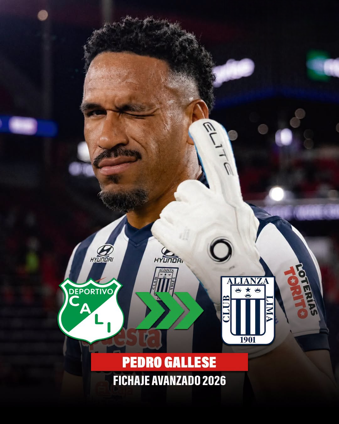 PEDRO GALLESSE