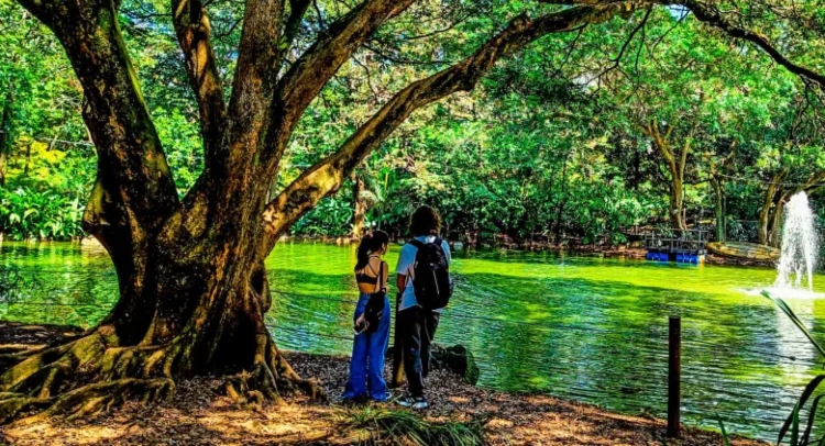Cinco razones fundamentales para descubrir y recorrer el Tropicario del Jardín Botánico