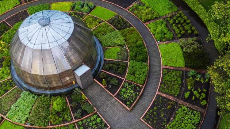 El Jardín Botánico de Bogotá implementa cuatro acciones estratégicas