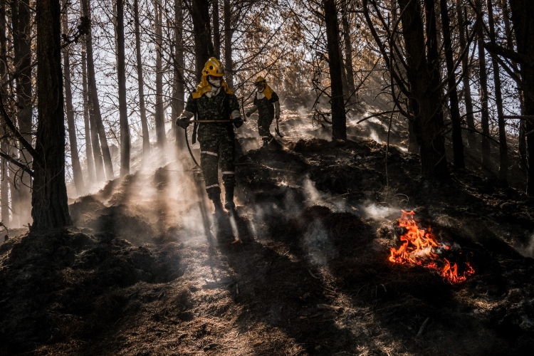 Incendios, fenómeno del niño y otras amenazas_ Greenpeace pide fortalecer la prevención del riesgo