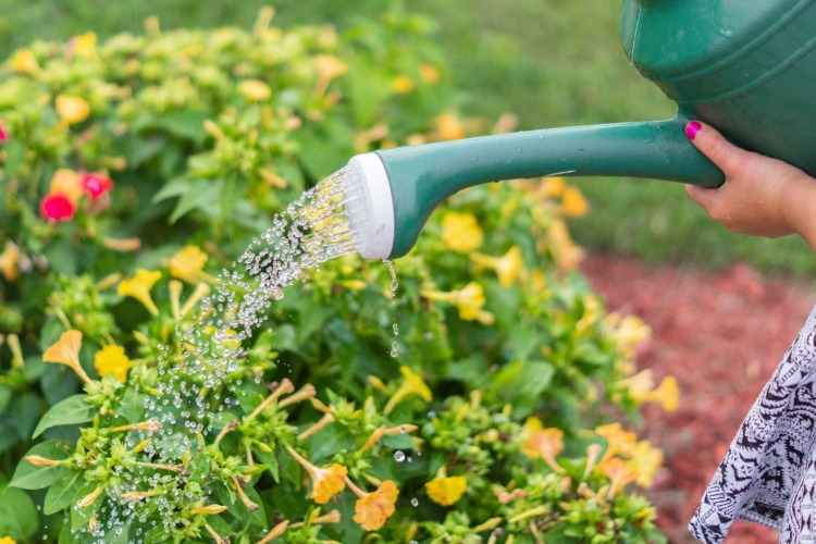 La CAR promueve la reutilización de aguas grises en los hogares para enfrentar futuras sequías