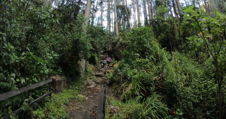 La EAAB emite recomendaciones clave para proteger los Cerros Orientales