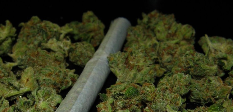 Las autoridades incautan más de dos toneladas de marihuana en una fundación ficticia en Suba