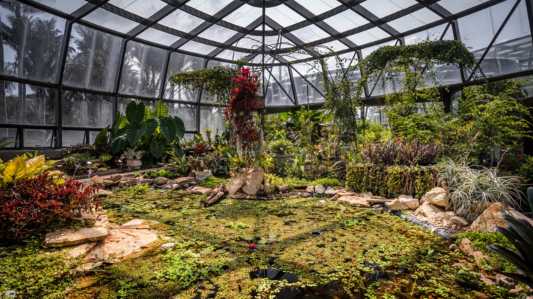 Regresa el Festival Estéreo Botánico al Jardín Botánico de Bogotá