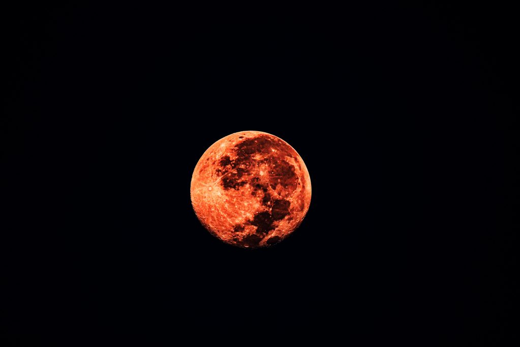pexels-amitrai10-33837185