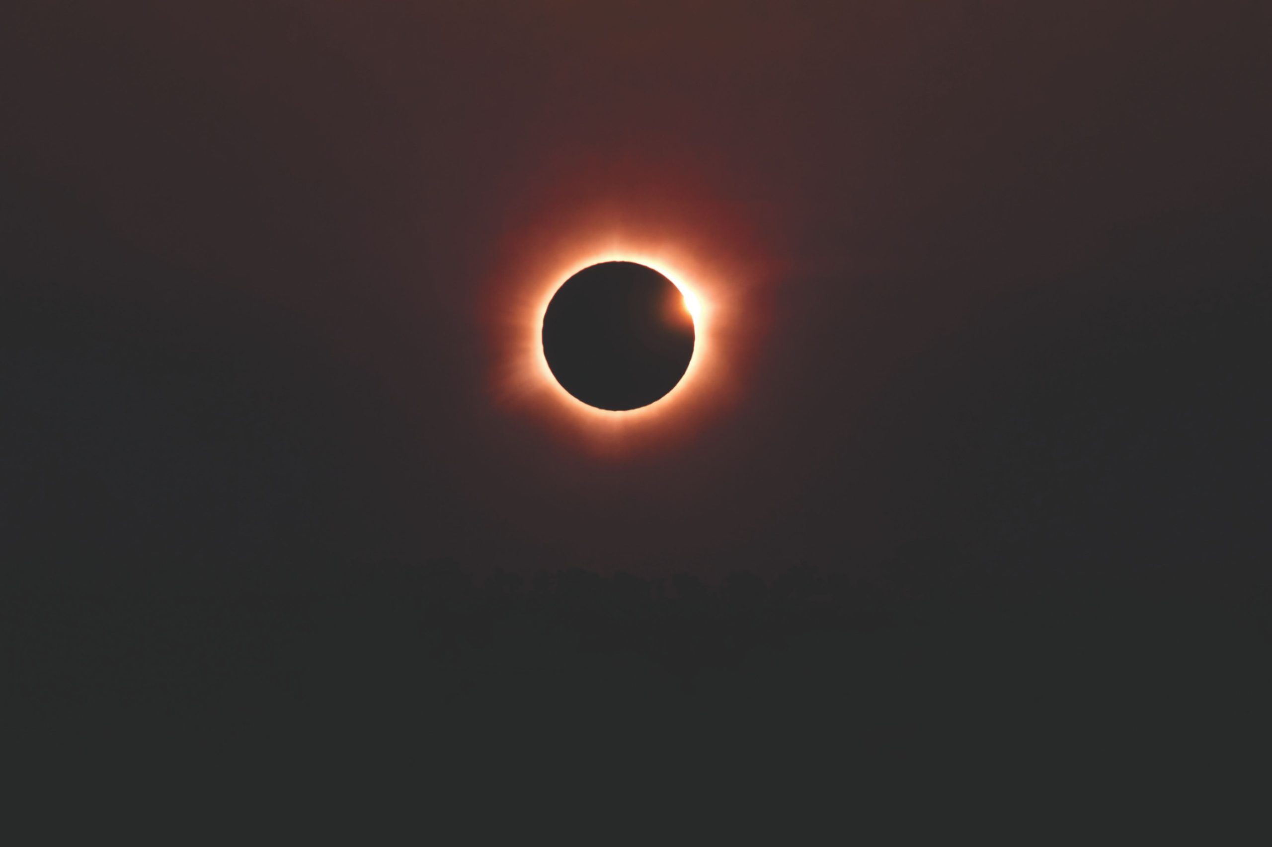 pexels-gleive-37045046
