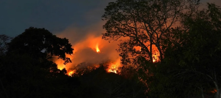 Agosto fue el mes con mayor afectación por incendios forestales en Cundinamarca durante 2026