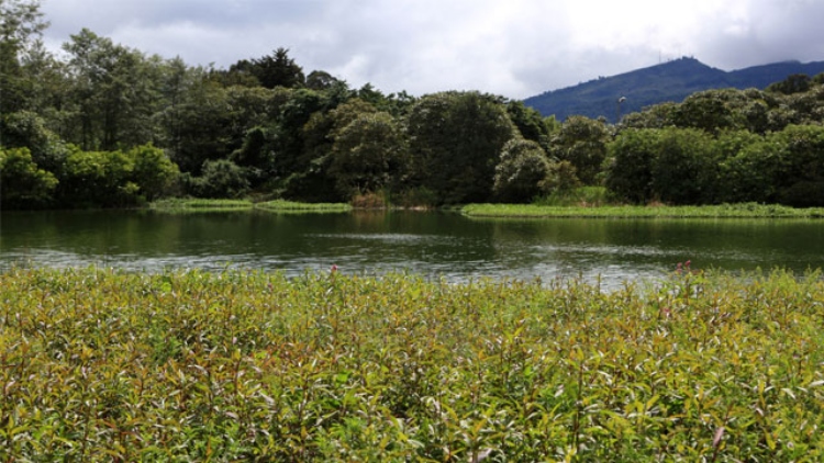 Bogotá adapta sus 17 reservas de humedales para mitigar las sequías causadas por el fenómeno de El N