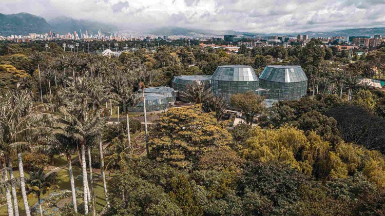 El Jardín Botánico de Bogotá aporta casi el 50% de los datos de biodiversidad regional en plataforma