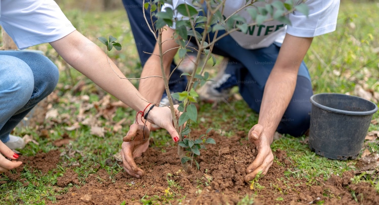 El Jardín Botánico de Bogotá renueva 450 metros cuadrados de espacio verde