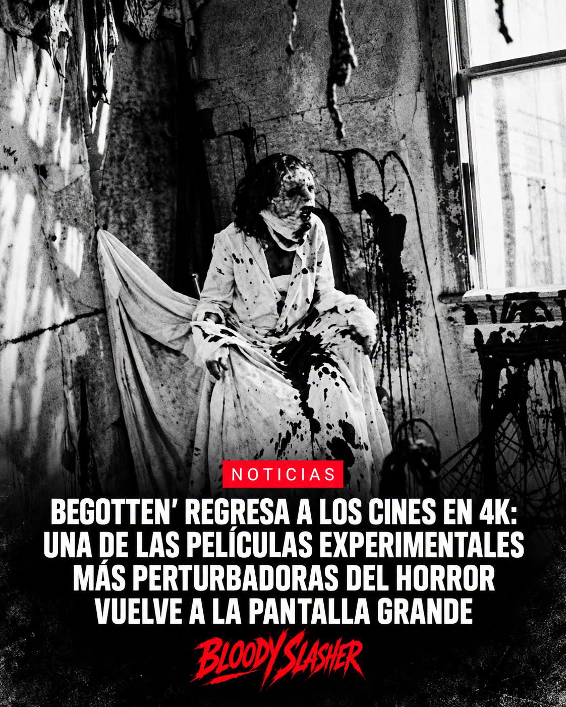 FB_IMG_1790443492680
