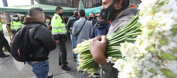 Graban a sujetos hurtando plantas y flores del Jardín Botánico en una rotonda de la avenida Calle 63