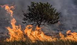 INCENDIOO
