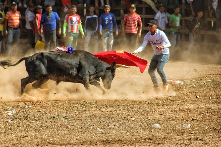 Un hombre resulta gravemente herido tras la embestida de un toro en las corralejas de Chinú, Córdoba