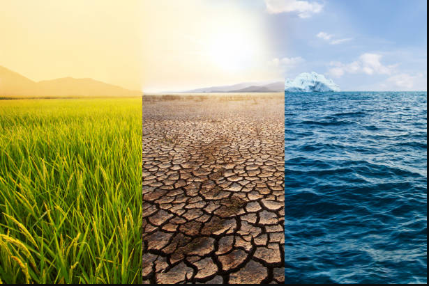 cambios de clima