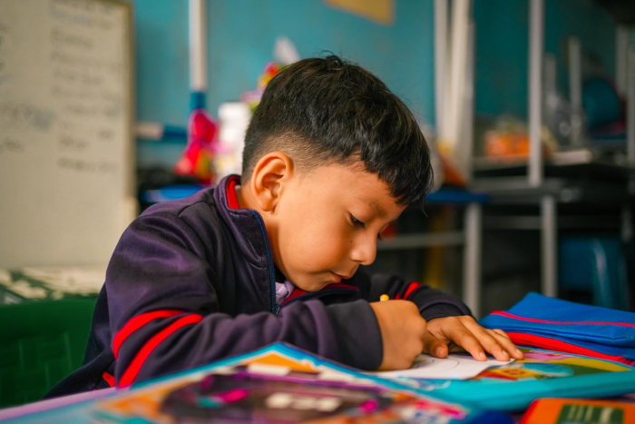 educacion (1)