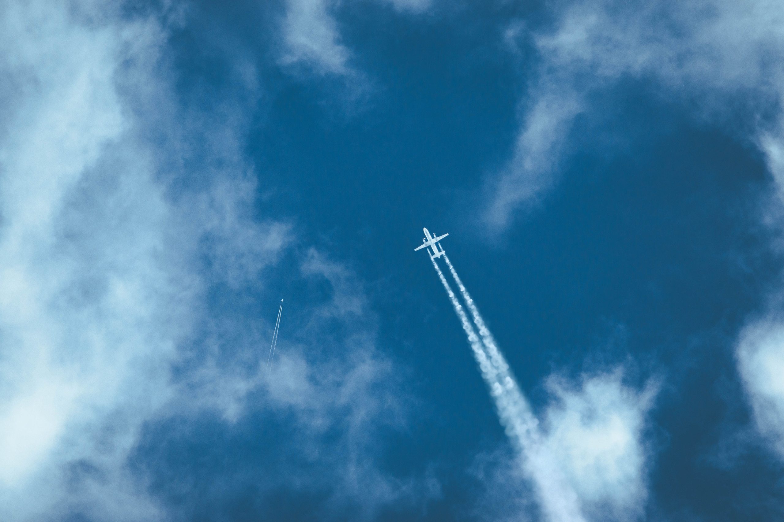 pexels-stasm4m-9257445
